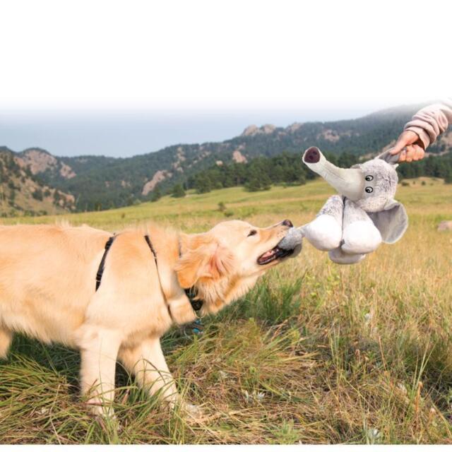 KONG Stretchezz Legz Elefant S | Hundelegetøj med lange ben og pivelyd