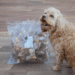 Snack'it Okseluftrør 3-5 cm 1 kg | naturlig tyggesnack til hund