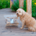 Snack'it Okseluftrør 12-15 cm 1 kg | naturlig tyggesnack til hund