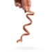 Snack'it Lammepenis Curly Hundesnack 100 g
