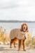 Trixie Minot Sherpa Hundedækken Med Teddyfor - Beige