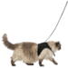 Soft cat harness with line