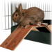 Bridge for rabbit/guinea pig cage