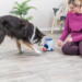 Trixie Dog Activity Ball & Treat Strategy Game