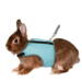 Trixie Seletøj med line til kanin