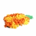 Hundelegetøj Snuffle Mat Ananas 63x42x4cm