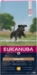 Eukanuba Junior Large Breed Kylling 12kg.