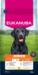 Eukanuba Junior Large Breed Kylling 12kg.