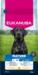Eukanuba Mature Large Breed kylling 12kg.