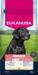Eukanuba Senior Large Breed kylling 12kg.