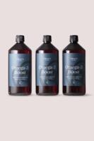 Everyday Omega 3 Boost 3 x 1 L med pumpe | Lakseolie sampak til hund