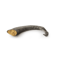 Snack'it fyldt gedehorn - naturlig hundesnack (1 stk)
