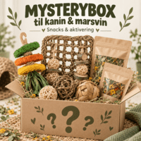 Mysterybox til kanin & marsvin – snacks & aktivering