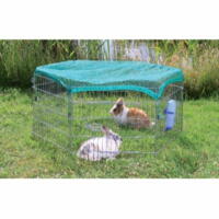 Running yard with net for rabbits