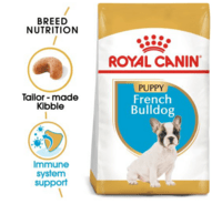 French Bulldog Puppy 10kg