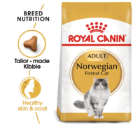 Royal Canin Norwegian Forest Cat 10 kg