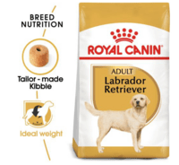 Labrador Retriever Adult 12 kg