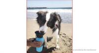 Drinking bottle with bowl blue/pink