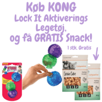 KONG Lock It Activation Package - S