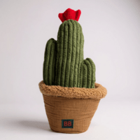 B&B Pawtanic Garden – Kaktus (Snuseplante & Snusetæppe)